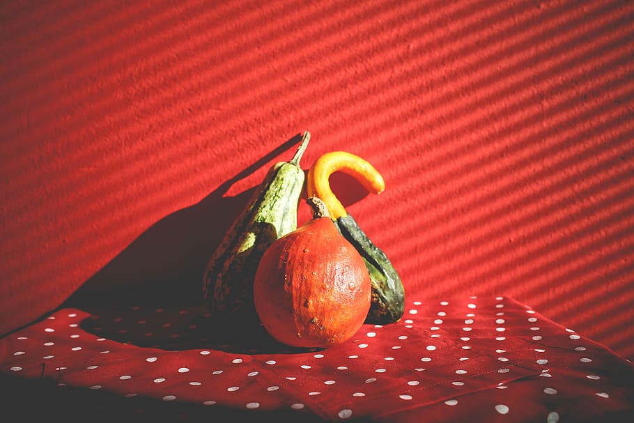 Decorative Pumpkins in Red, halloween, fruit, food, freshness HD wallpaper
