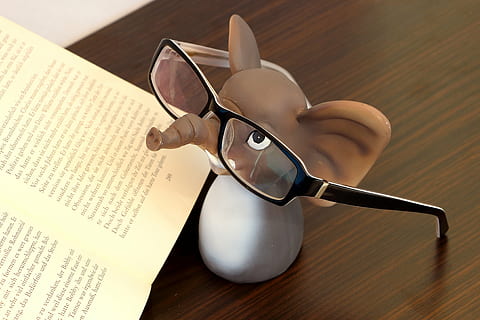 brown and white elephant plastic figure beside book, glasses HD wallpaper