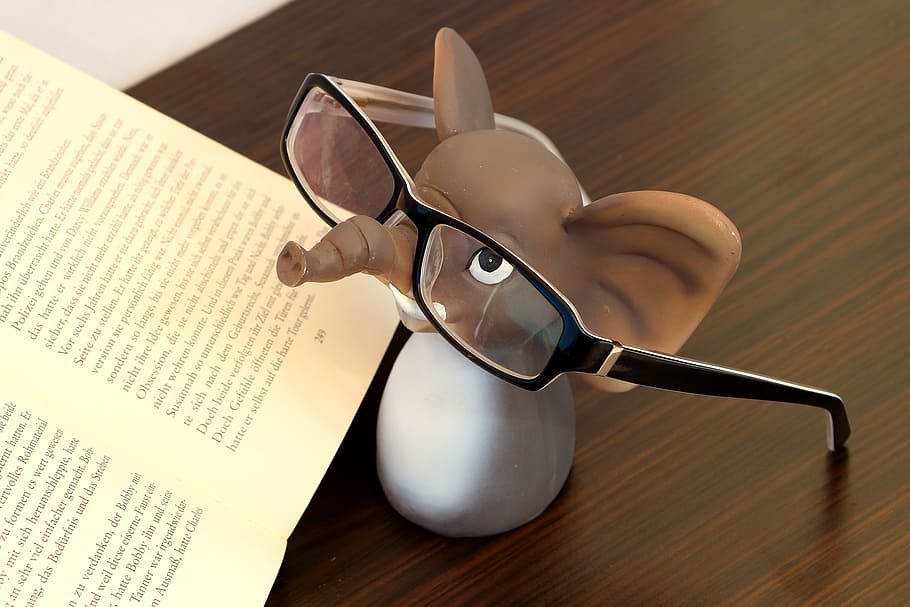 brown and white elephant plastic figure beside book, glasses HD wallpaper