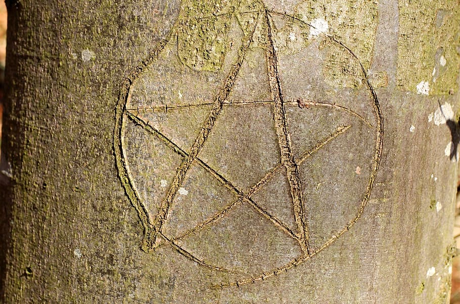 star engraved on tree trunk, pentacle, paganisch, symbol, eingeritzter tree HD wallpaper