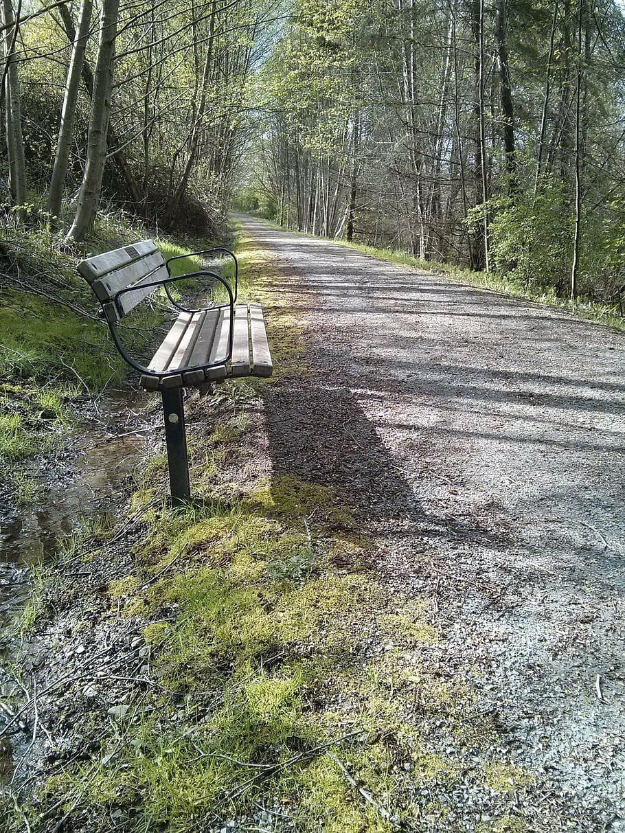 park bench, trail, spring, nature, perspective, deer lake park HD wallpaper