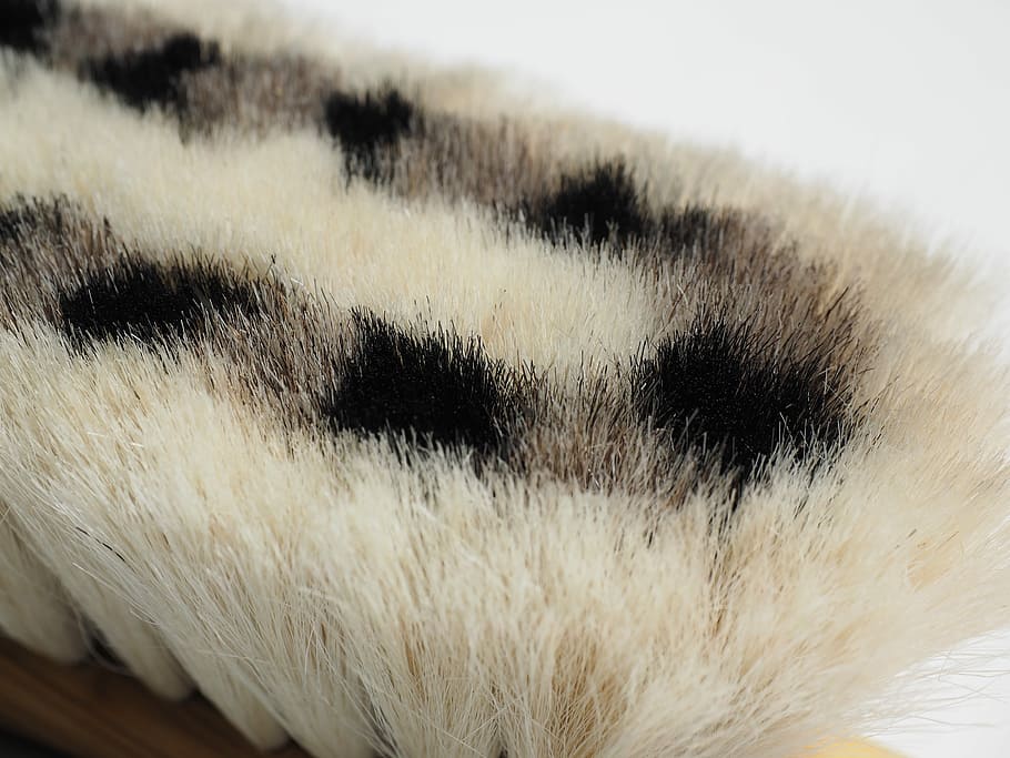 Brush, Goat, Hair, Pattern, Black, White, goat hair, goat hair brush HD wallpaper