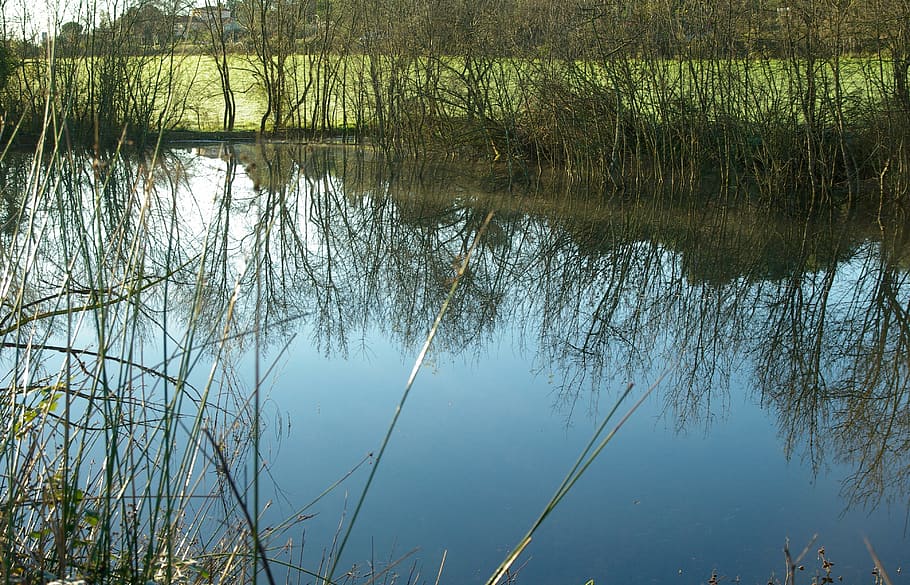pond, winter, lake, reflections, nature, water, outdoors, river HD wallpaper