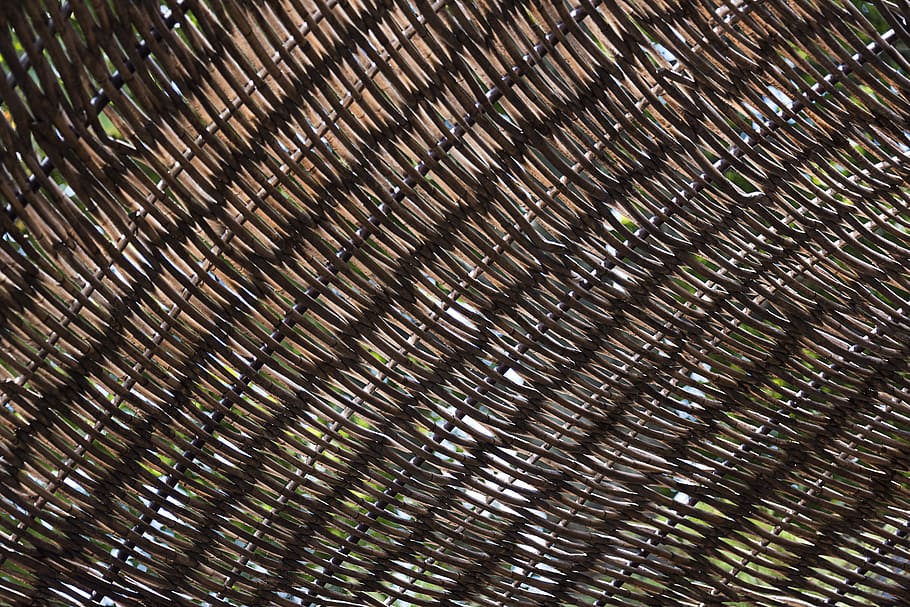 patterns, organic, texture, design, nature, natural, rustic HD wallpaper