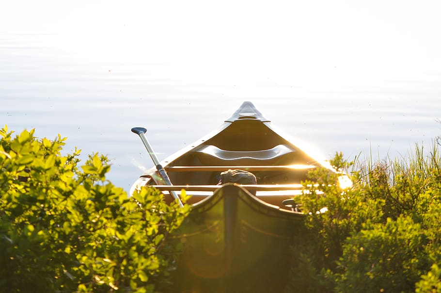 Brown Wooden Boat in Between Green Leaf Plants, blur, close-up HD wallpaper