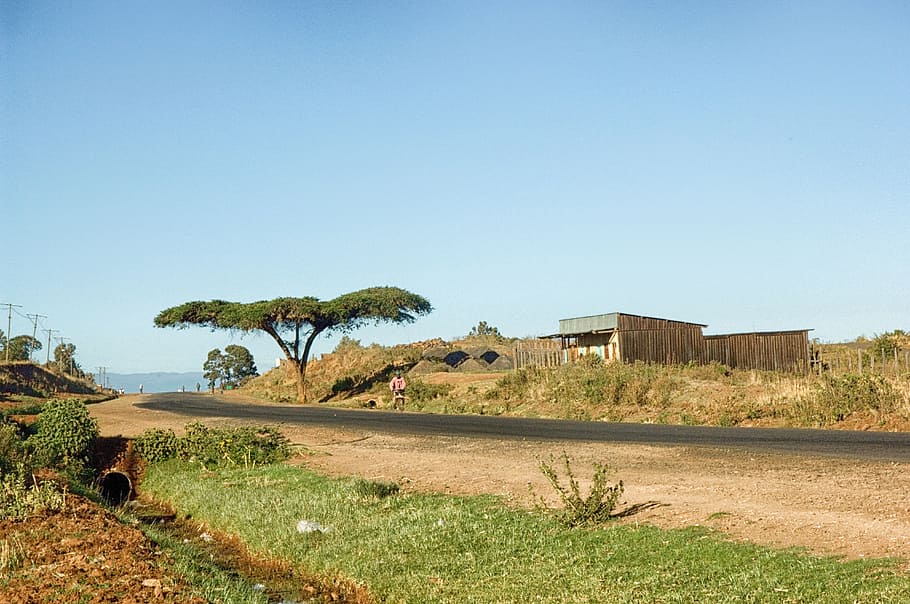 Kenya, Landscape, Scenic, Tree, Road, trail, buildings, nature HD wallpaper