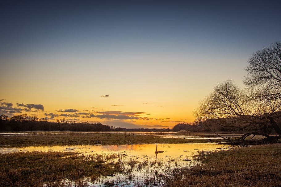 elbe, high water, evening, river, current, nature, mood, sunset HD wallpaper