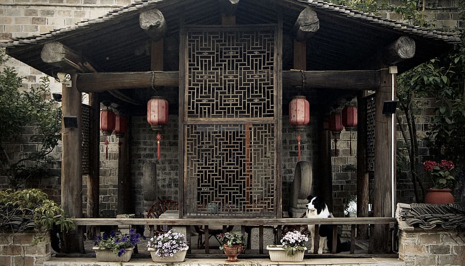 Ancient House, Pavilion, Dog, architecture, built structure HD wallpaper
