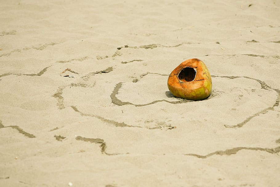 coconut in the circle, coconut on brown sand, pattern, fruit HD wallpaper
