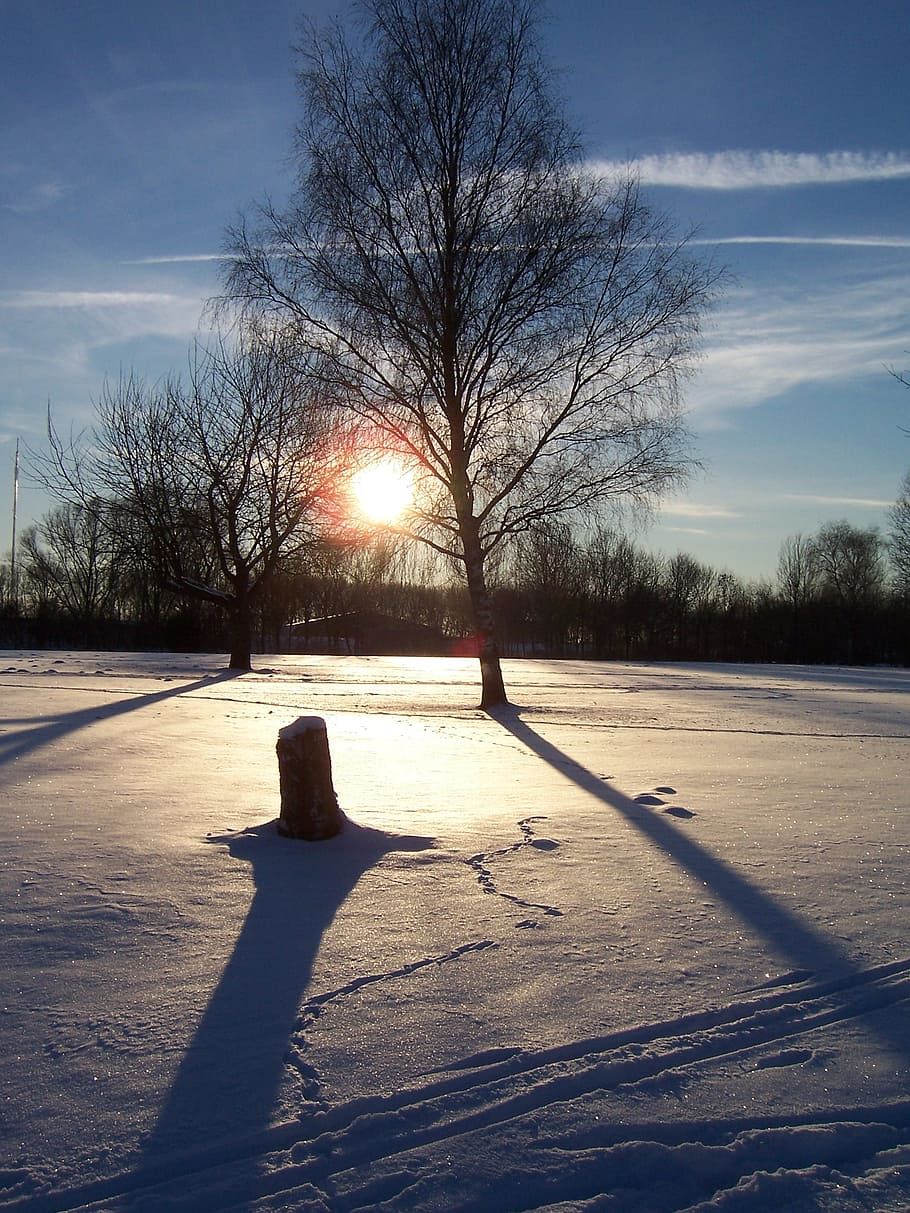 Winter, Snow, Footprints, White, Cold, wintry, landscape, snowy HD wallpaper
