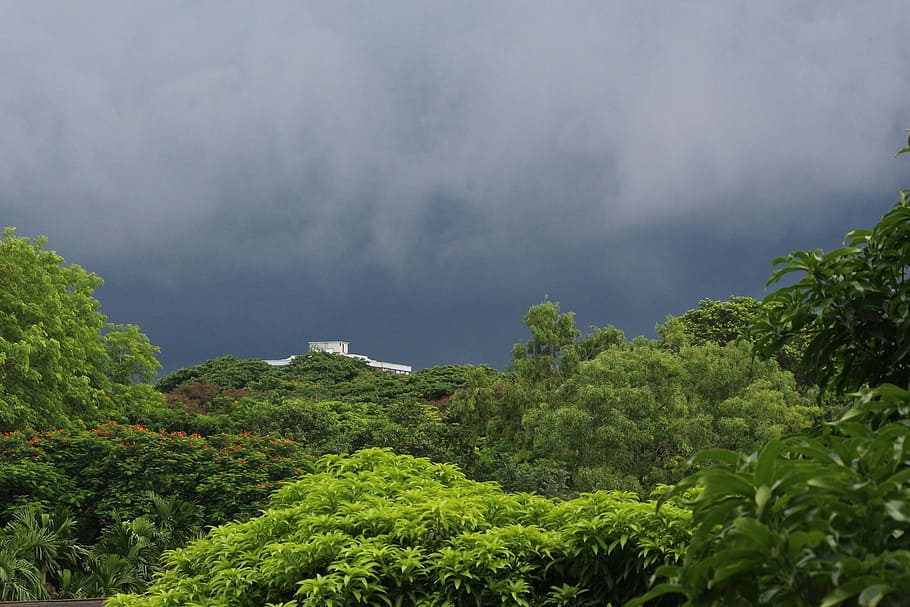 evening, cloud, sky, rainy day, green, nature, tree, asia, green color HD wallpaper