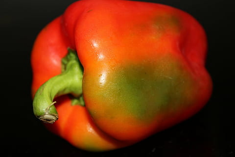red pepper, vegetables, fruit, orange, red bell pepper, ingredient HD wallpaper