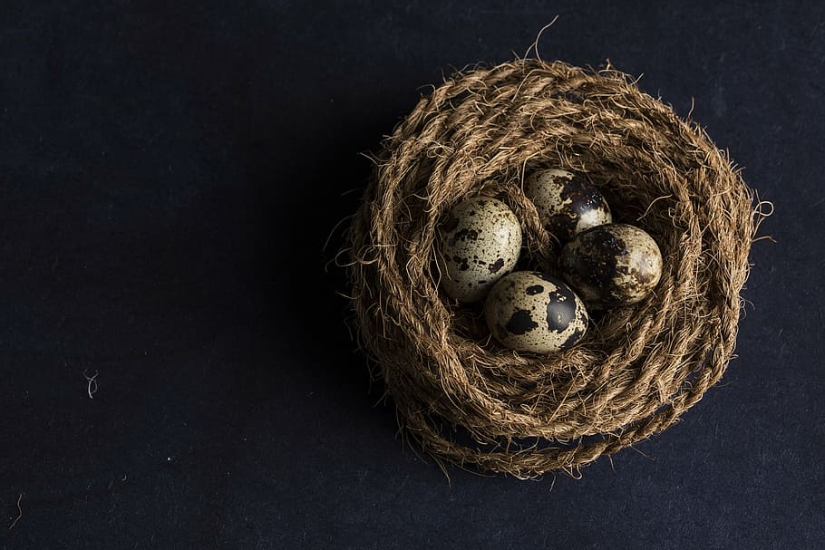 quail eggs in brown rope, art, close-up, color, food, little, HD wallpaper