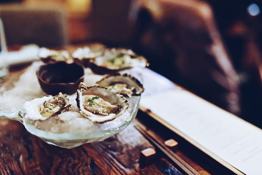 shallow focus photography of oysters on bowl, oysters on top of ice HD wallpaper