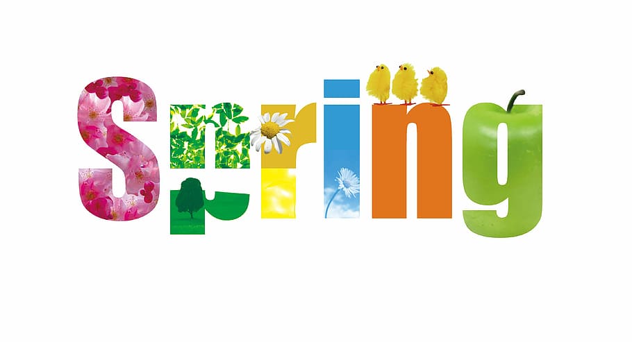 white background with spring text overlay, flower, happy, joy HD wallpaper