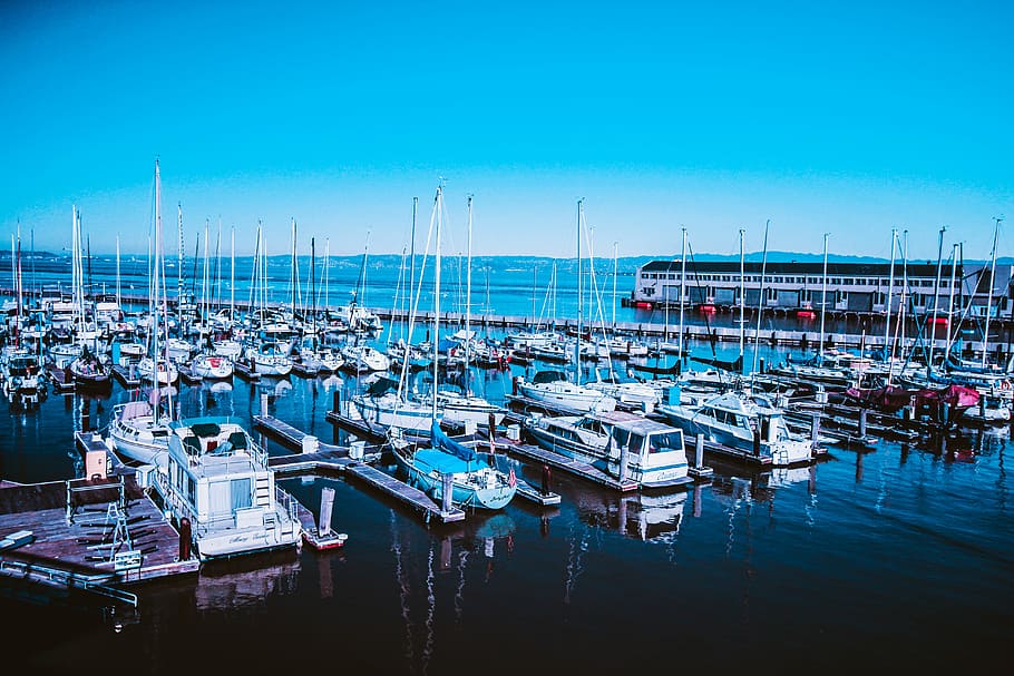 bay, boats, dock, harbor, harbour, leisure, luxury, marina HD wallpaper