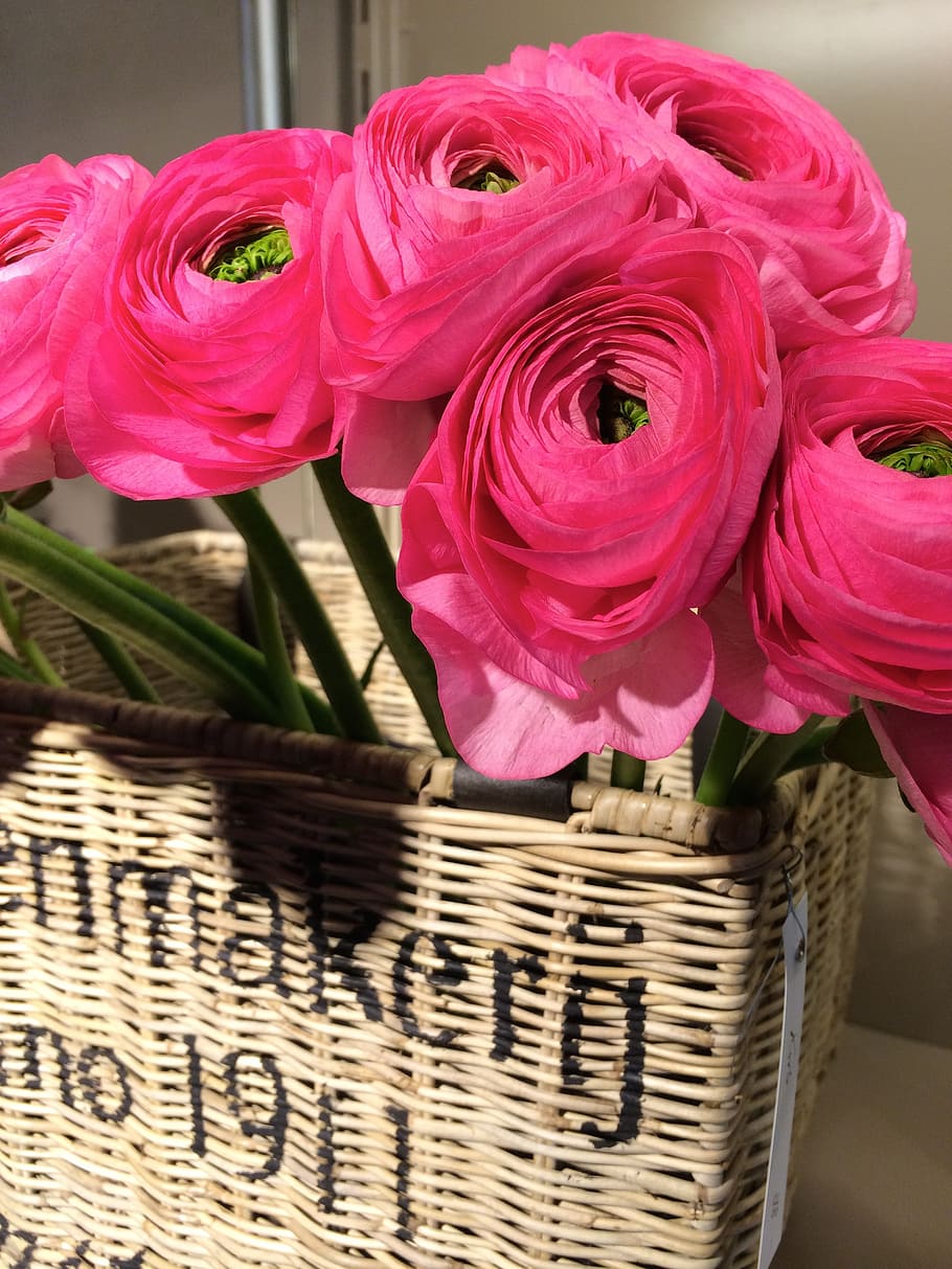 basket, pink, flowers, spring, decoration, bouquet, nature HD wallpaper
