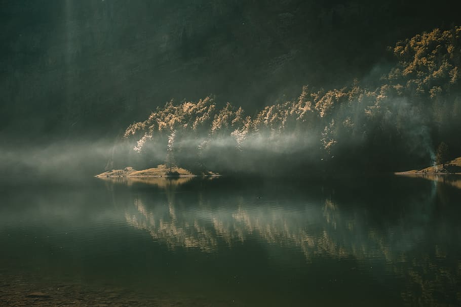 shallow focus photography of body of water surrounded of trees, Start a fire HD wallpaper