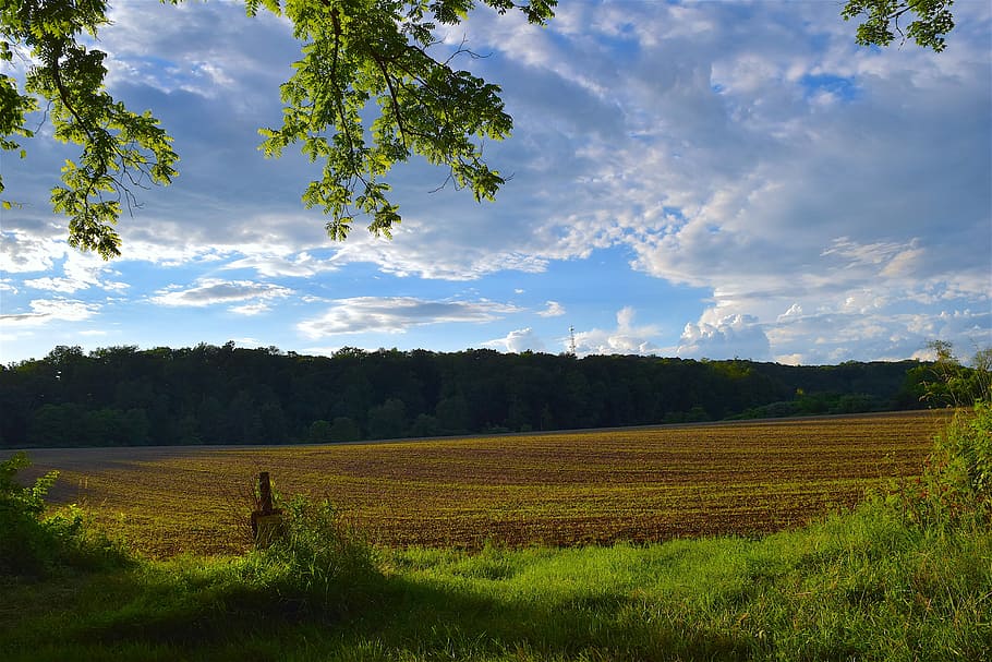 Field, Sunset, Lighting, Beautiful, landscape, nature, summer HD wallpaper