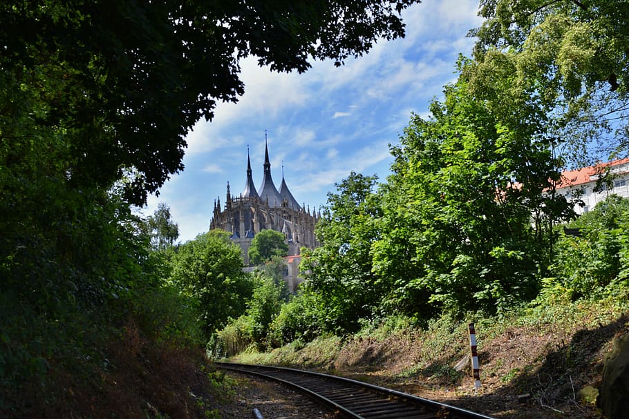 nature, view, track, cathedral, czech republic, summer, trees HD wallpaper