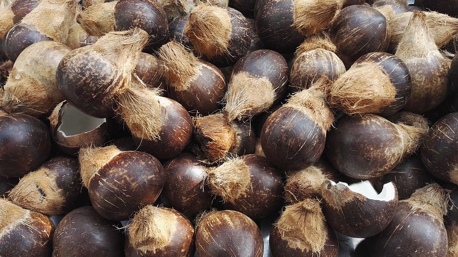 coconut, still life, drinks, full frame, backgrounds, large group of objects HD wallpaper