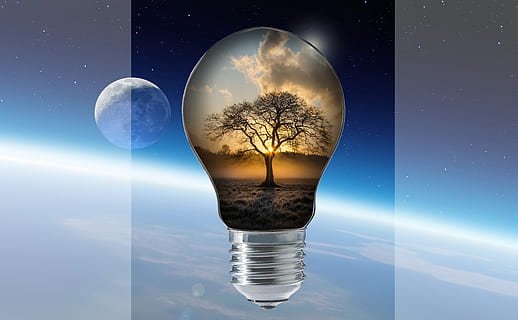 light bulb with silhouette of tree wallpaper, autumn, pear HD wallpaper