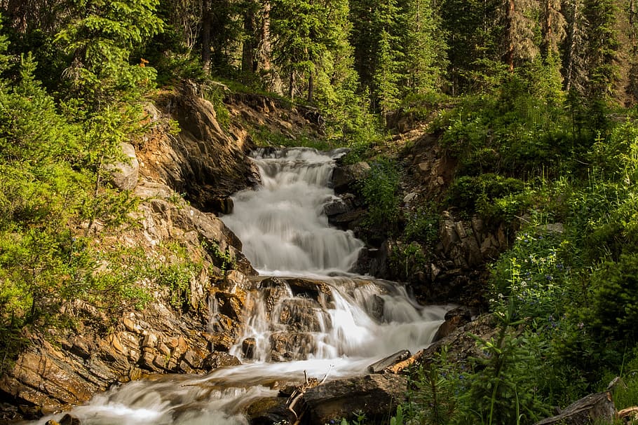 waterfalls near brush during daytime, nature, cascade, raging HD wallpaper