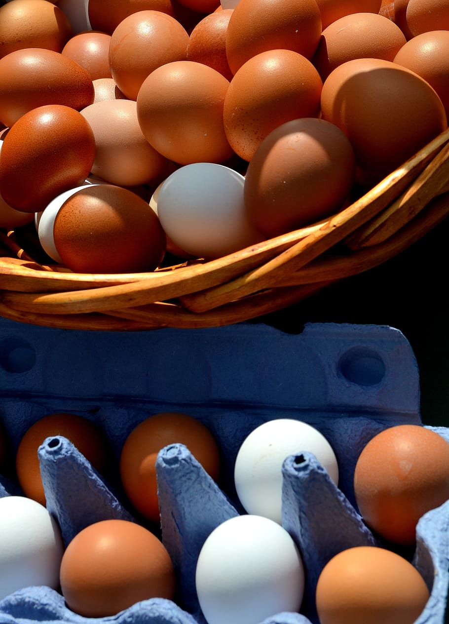 egg, hen's egg, egg box, close, basket cosy, egg carton, brown egg, HD wallpaper