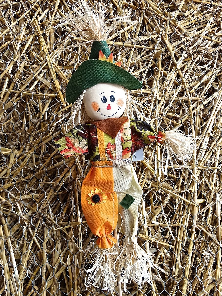 Straw, Effigy, Head, Face, Eyes, straw effigy, craft, cereals HD wallpaper