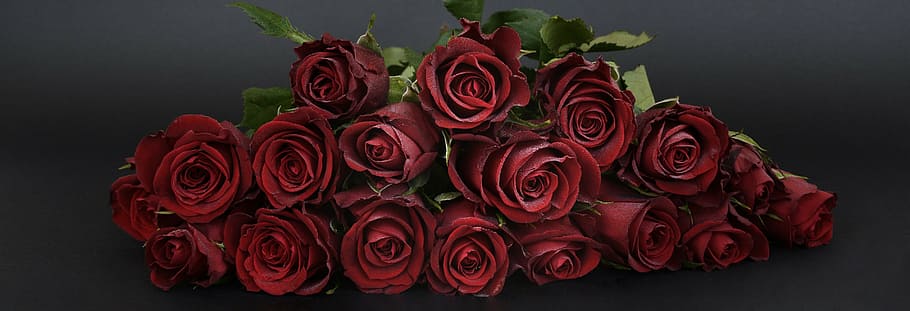 red rose flower bouquet, roses, bouquet of roses, strauss, flowers