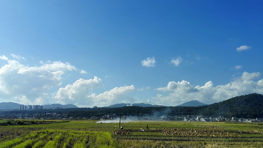 ye tian, country, blue sky, environment, landscape, agriculture, HD wallpaper