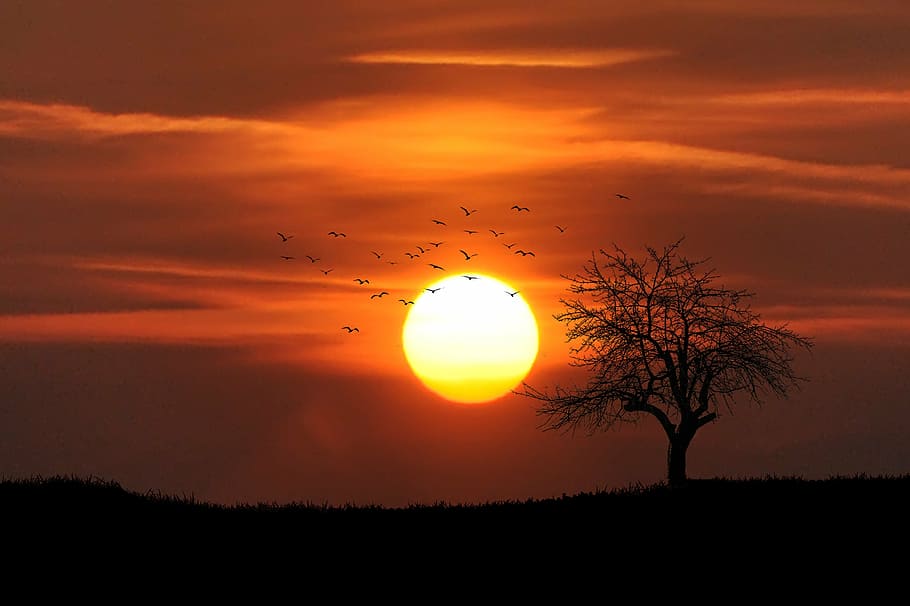 countryside, dramatic, evening, landscape, natural, nature HD wallpaper