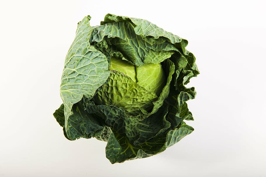 cabbage, green, power, vegetable, col, vegetables, food, nature HD wallpaper