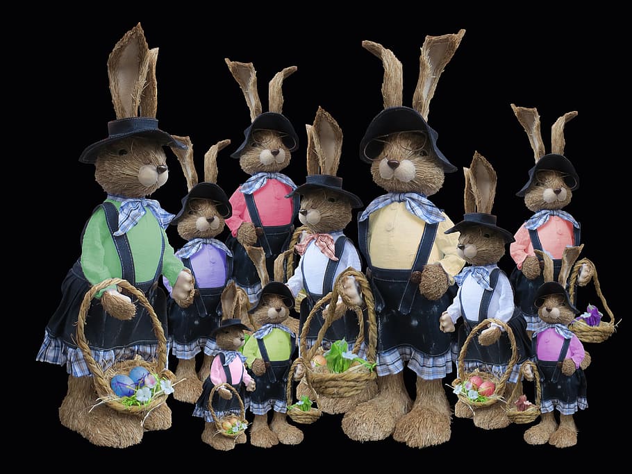 Easter Bunny, Bunny, Rabbit, greeting card, easter greeting HD wallpaper