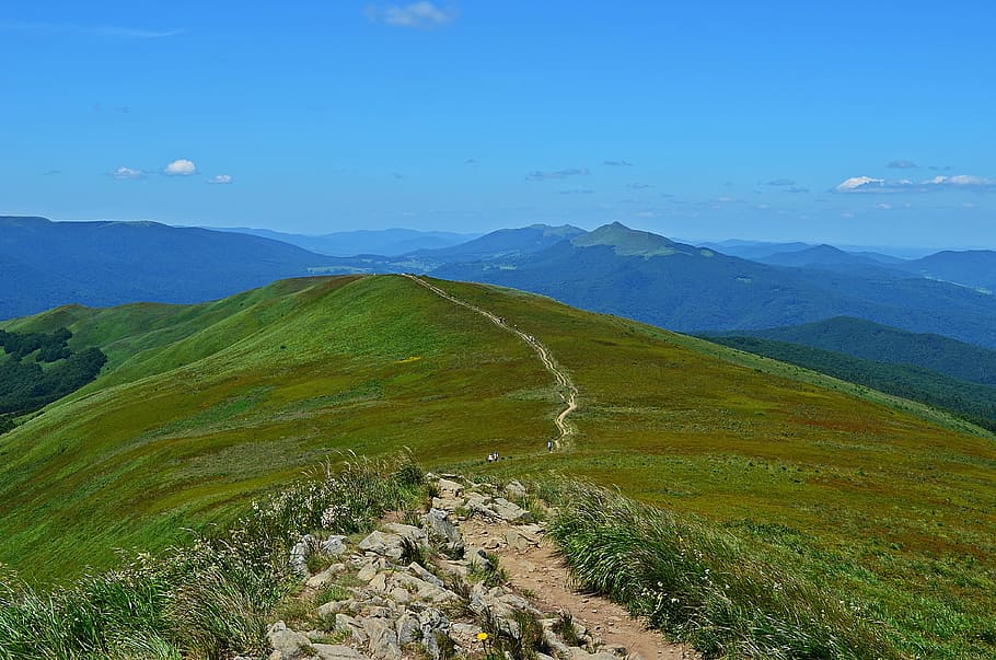 mountains, landscape, view, panorama, bieszczady, nature, forest HD wallpaper