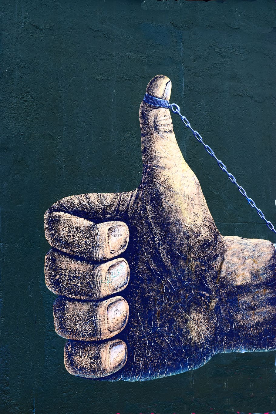 berlin, wall, dom, hand, water, day, fishing, vertebrate, real people HD wallpaper