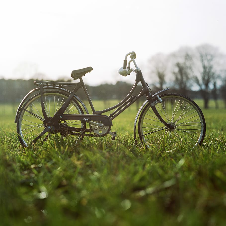 shallow focus photography of brown beach cruiser bicycle on grass field HD wallpaper