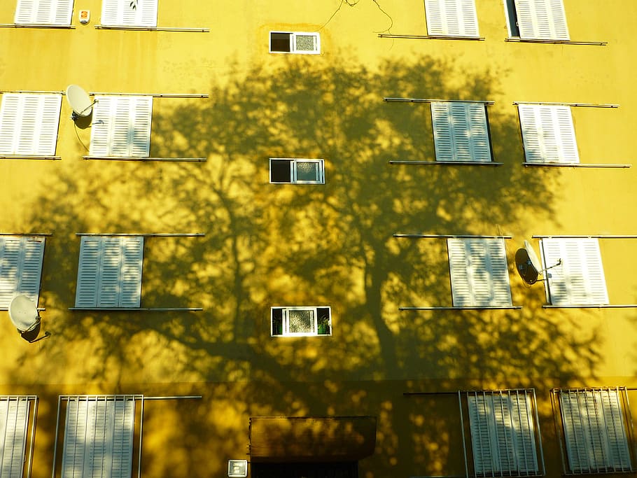 shadow, tree, silhouette, facade, sunset, projection, housing HD wallpaper