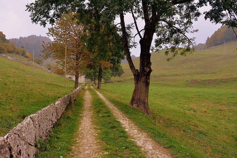 trail, via, trees, mountain, path, the european path, e5, lessinia, HD wallpaper