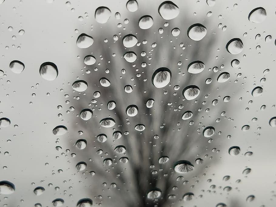 rain, drop, wet, splash, droplet, water, glass - material, window HD wallpaper
