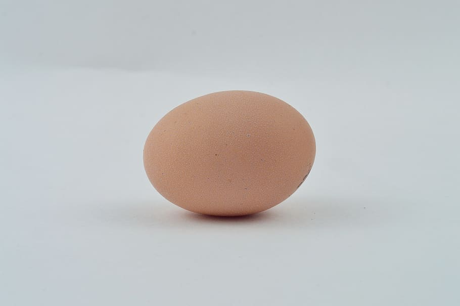 egg, chicken, food, food and drink, studio shot, single object HD wallpaper