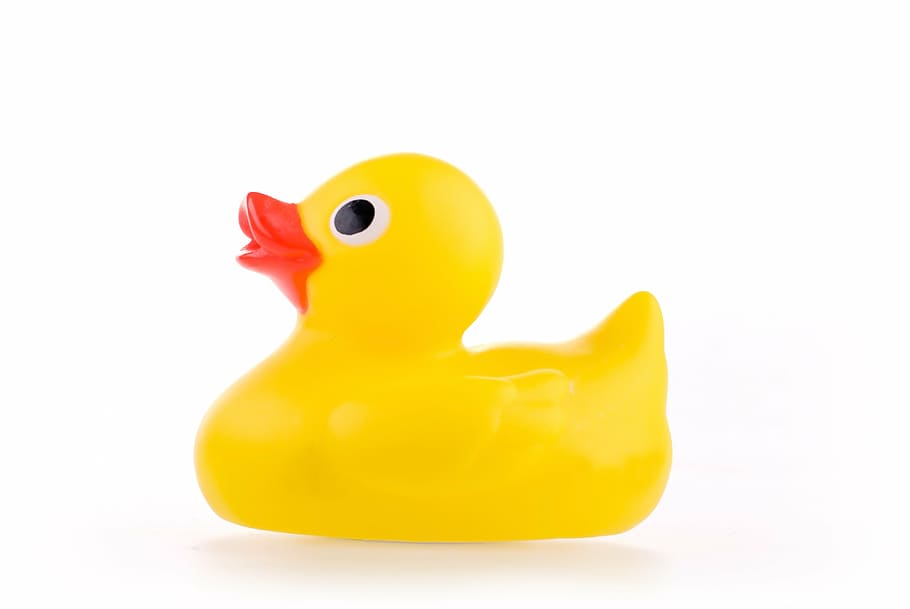 yellow rubber ducky, toy, bath, studio, white background, duckling, HD wallpaper
