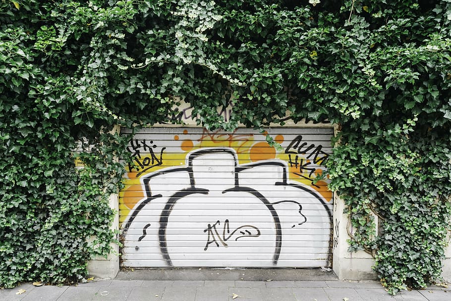 gate, graffiti, plant, vines, wall, art and craft, no people HD wallpaper