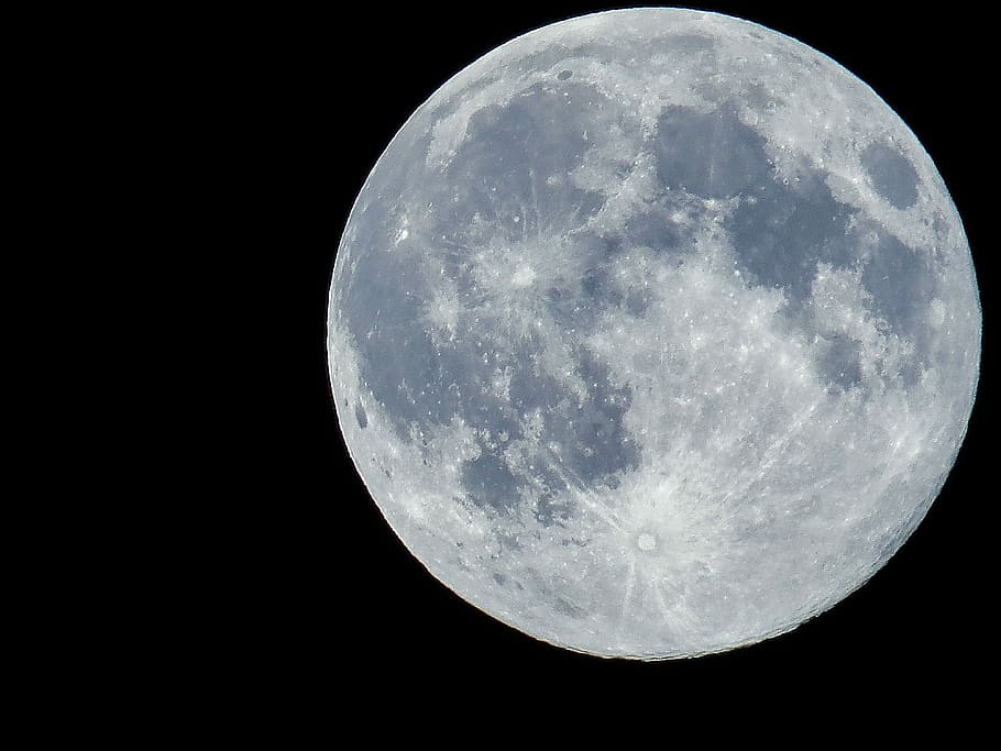 full moon, evening, night, moonlight, atmosphere, mood, sky HD wallpaper