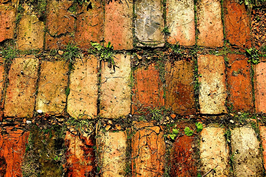 structure, sample, brick, nature, full frame, backgrounds, no people HD wallpaper