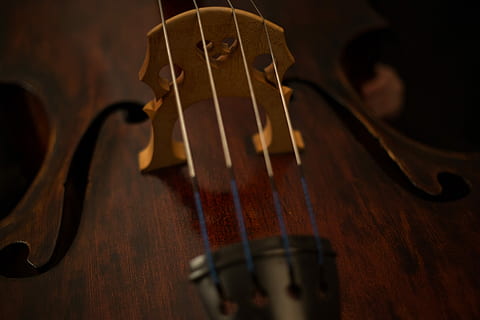 brown violin, cello, instrument, strings, wooden, music, string instrument HD wallpaper