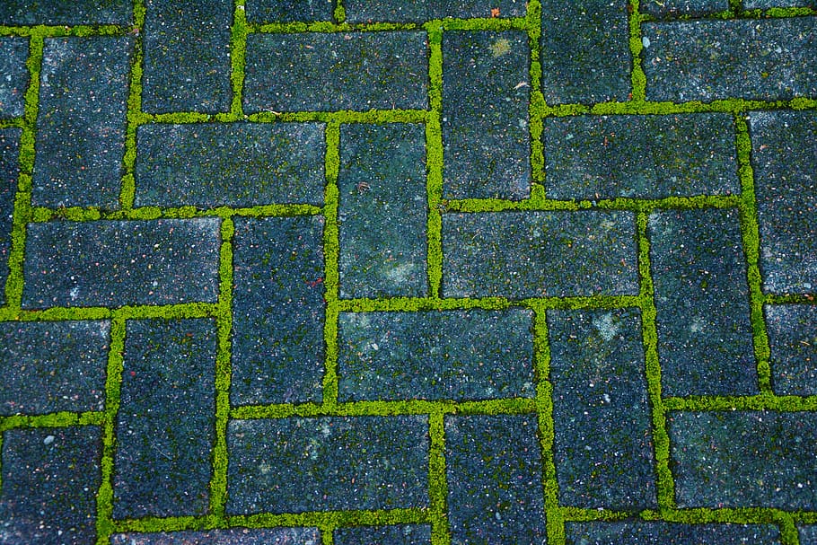 green and grey concrete pavement, patch, paving stones, moss HD wallpaper