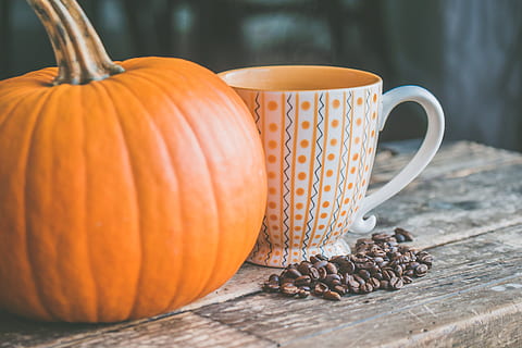Orange Pumpkin Near White Ceramic Mug With Seeds, background HD wallpaper