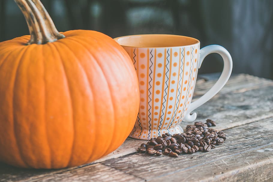 Orange Pumpkin Near White Ceramic Mug With Seeds, background HD wallpaper