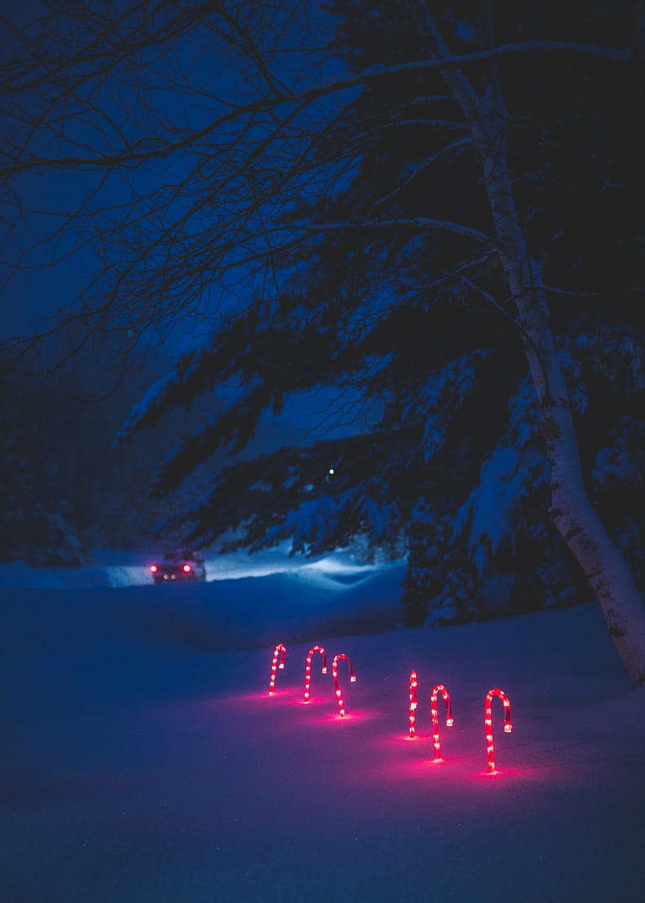 candy cane light posts on snow covered ground, six, white, string HD wallpaper